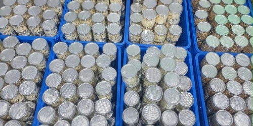 速盈娱乐坚果厂坚果年货礼盒批发定制