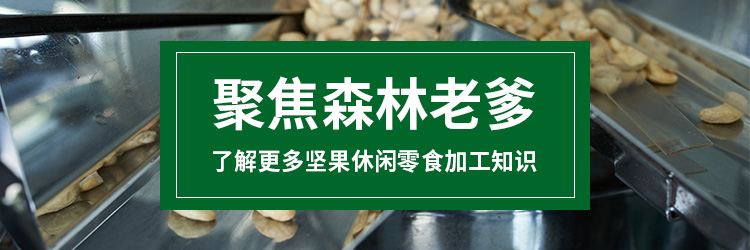 聚焦速盈娱乐，了解更多坚果休闲零食加工知识