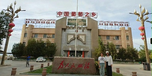 速盈娱乐坚果厂杨总考察新疆葡萄基地