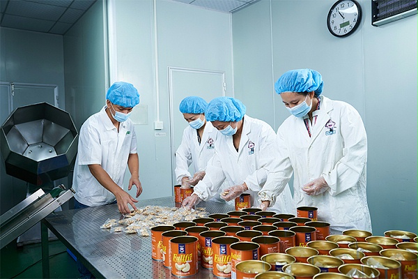 速盈娱乐坚果加工厂专业坚果代加工