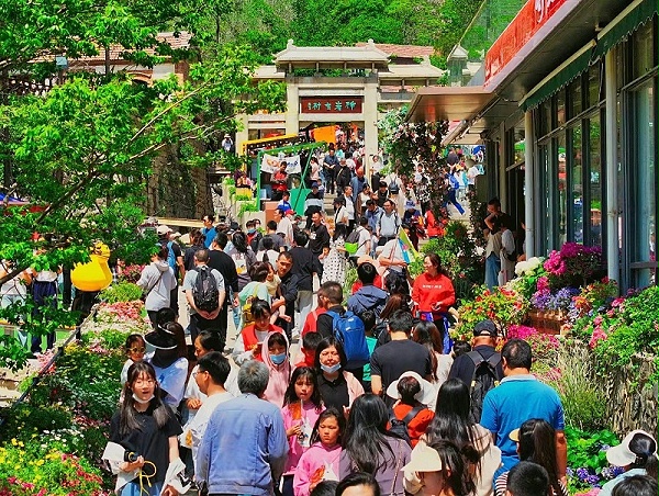 速盈娱乐坚果加工厂专业坚果代加工