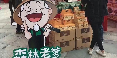 速盈娱乐-坚果炒货-成为置办年货优选-你了解多少？