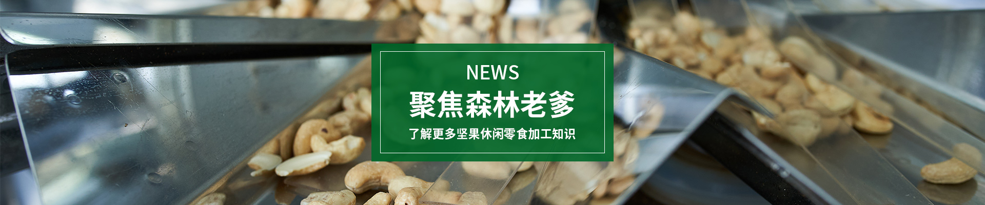 聚焦速盈娱乐，了解更多坚果休闲零食加工知识