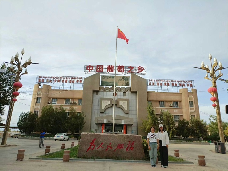 速盈娱乐坚果厂杨总考察新疆葡萄基地