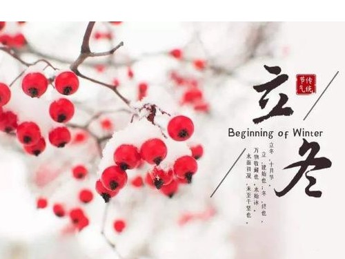 立冬已至 愿你的世界依旧温暖如初 岁月静好 温暖常伴-速盈娱乐坚果厂